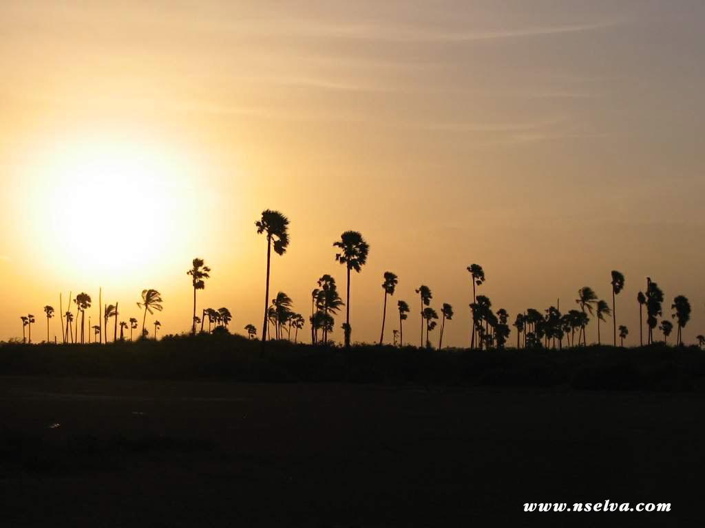 Sai Holiday Inn Jaffna Luaran gambar